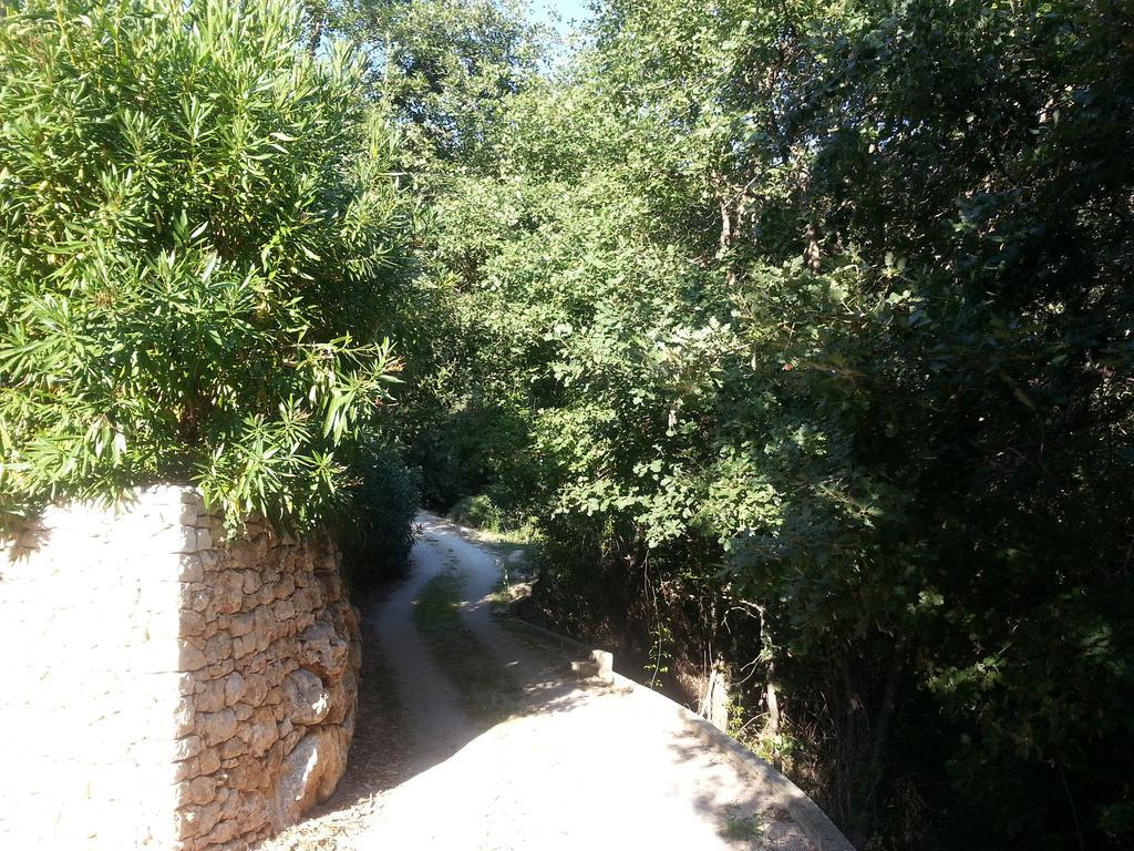 Spacious Dream Villa Near Monaco 罗克布吕讷-卡普马丹 外观 照片